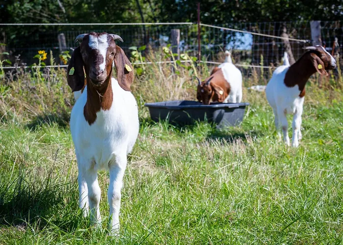 Appartement Osterhof - Casa Mare *