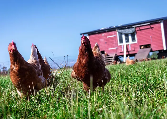 Osterhof - Casa Mare Fehmarn